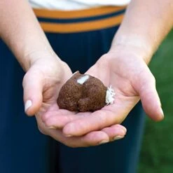 Nordic Ware Baby Bunny Bites Cakelet Pan -Nordic Ware 414WZrHIDiL